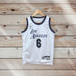 LeBron James Los Angeles Lakers 2022/23 City Edition Jersey by Nike