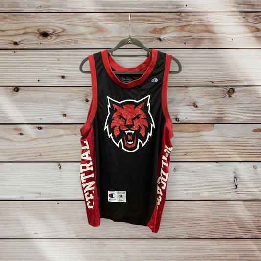 Central Arkansas Bears Basketball Jersey by Champion