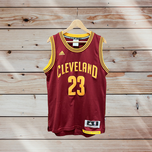 LeBron James Cleveland Cavaliers NBA Swingman Jersey by adidas